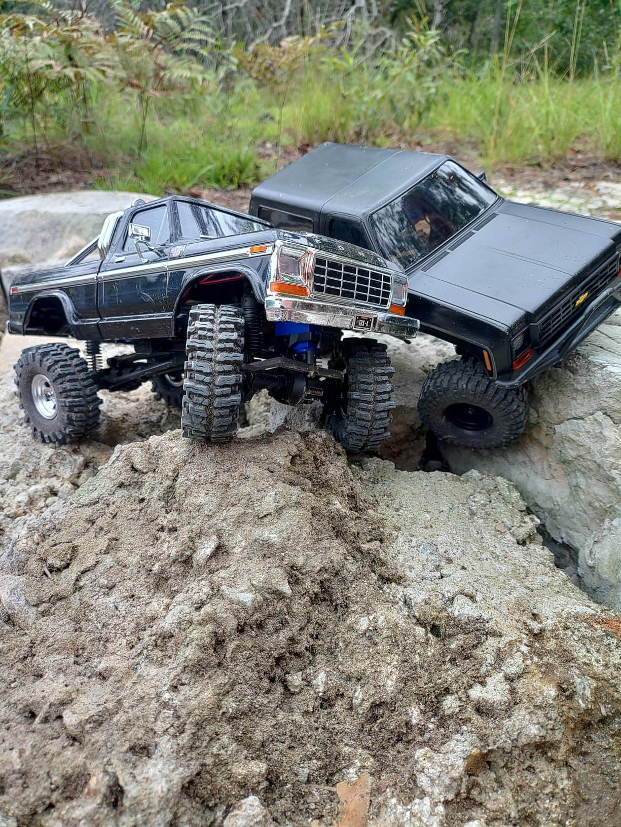 Traxxas TRX-4M 1/18 F-150 High Trail Crawler Truck RTR customer photo 1