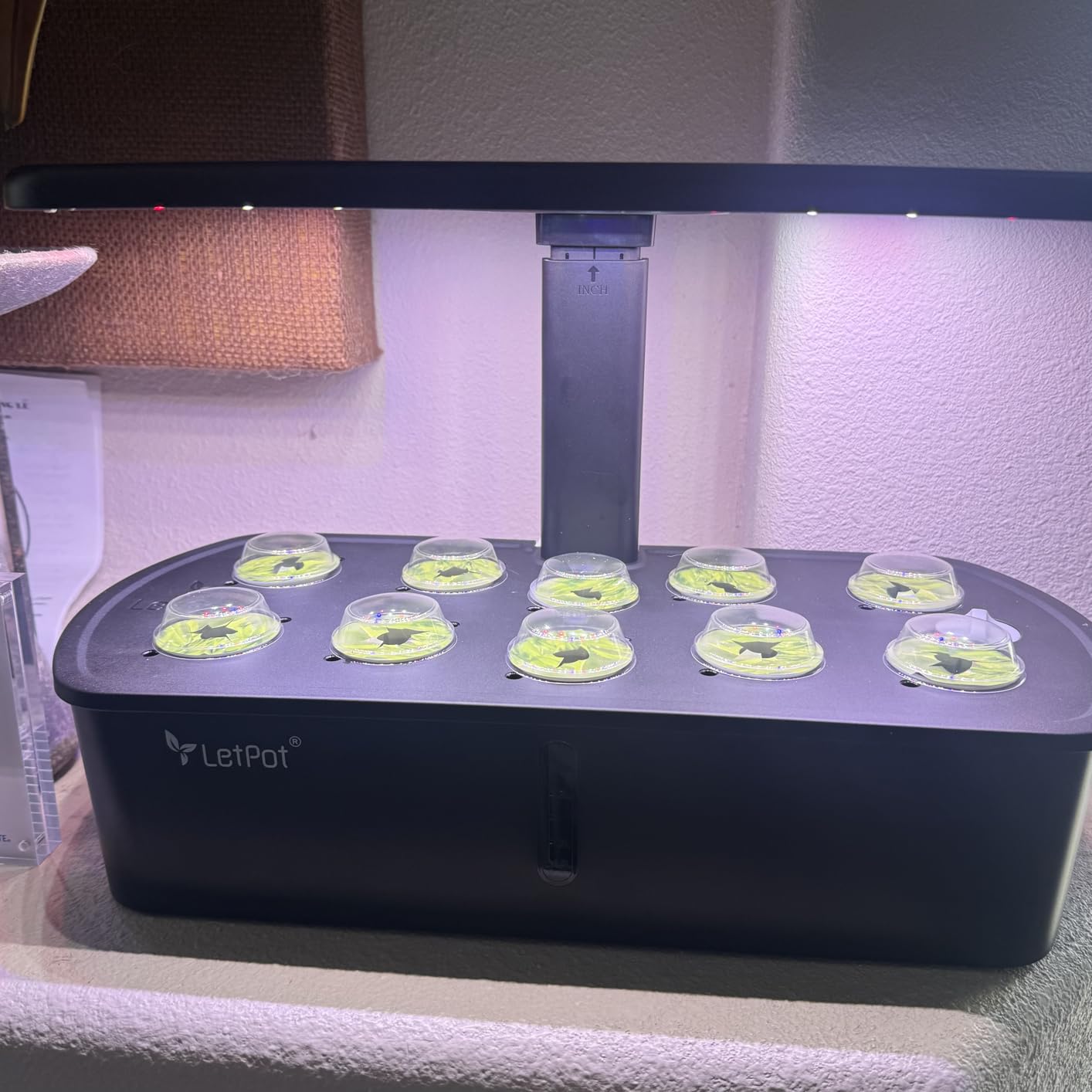 LetPot LPH-Air Hydroponics Growing System Kits, APP & WiFi Controlled Smart Indoor Garden with Adjustable 24W Grow Light Full Spectrum, 10 Pods Planter Indoor Gardening for Gifts, Kitchen, Vegetable customer photo 2