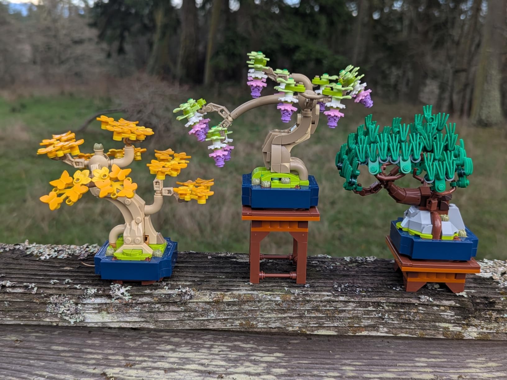 LEGO Botanicals Mini Bonsai Trees Building Set - Artificial Bonsai Tree Building Blocks for Adults, Ages 18+ (10373) customer photo 2