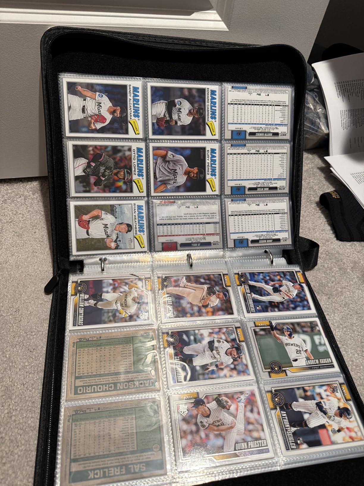 Portable 9-Pocket Trading Card Binder, Holds 1080 Cards with 60 Removable Double-Sided Sleeves, Baseball Card Binder Card Storage Organizer Album for Sports & Game Cards customer photo 1