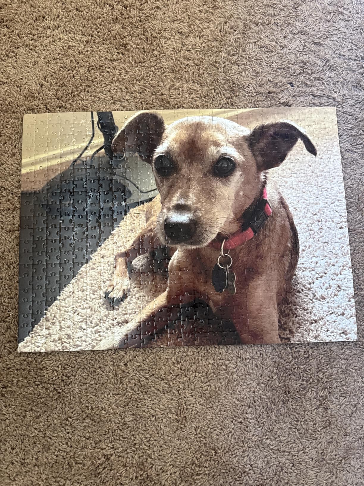 Custom Puzzles from Photos - 300/500/1000-Piece Custom Puzzle with Picture & Text - Personalized Jigsaw Puzzle for Adults & Kids - Family, Wedding, Pet, Birthday Gift customer photo 1