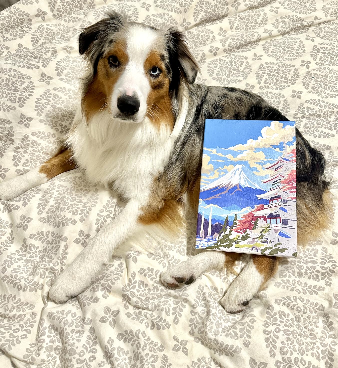 4 Pack Framed Paint by Numbers Kit for Adults with Wooden Easel, National Parks Easy Paint by Numbers with Frame for Beginners 8x12 Inch customer photo 1