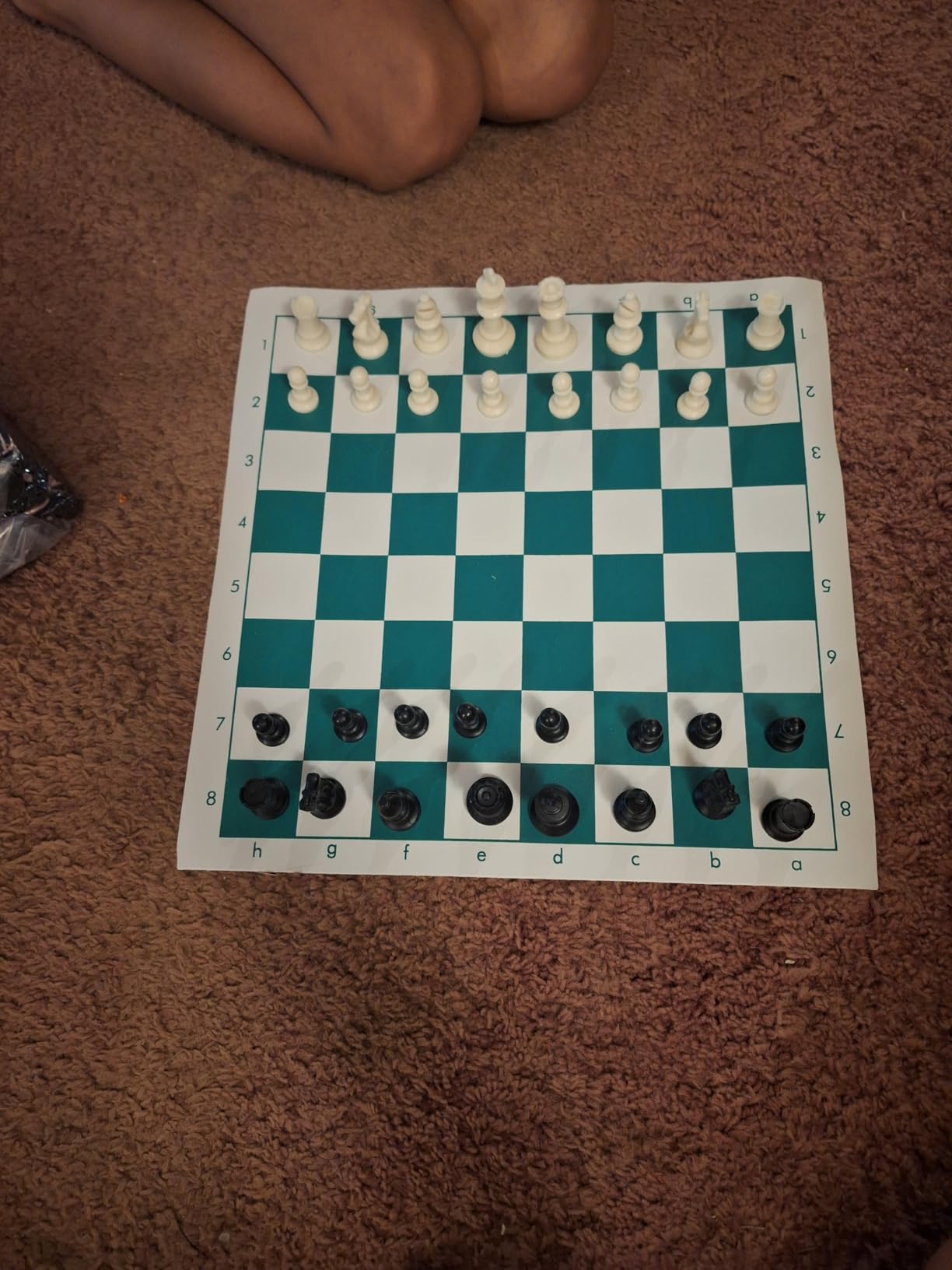 Portable Travel Chess - 16.9
