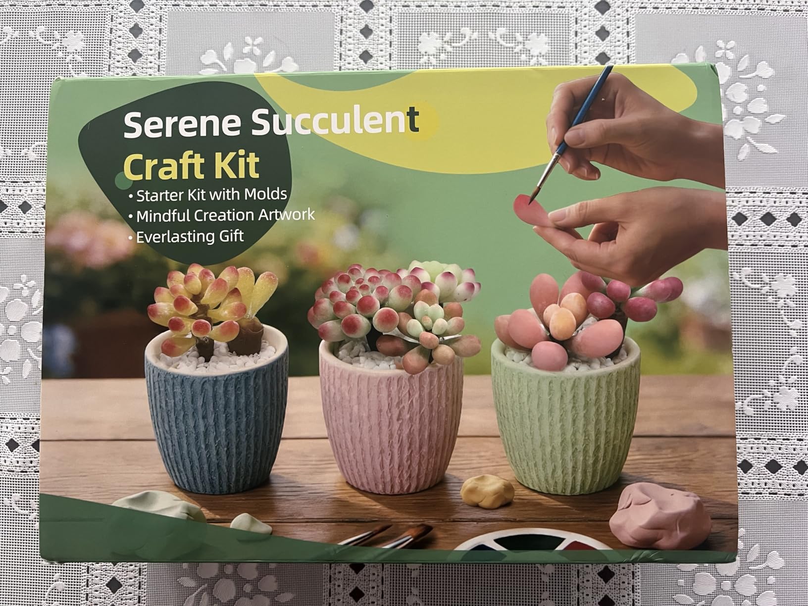 Microland Craft Kits for Teens Crafty Clay Kit for Succulents Flower Making Fun Adult Activities of Arts and Crafts Art Therapy Crafting Set customer photo 2