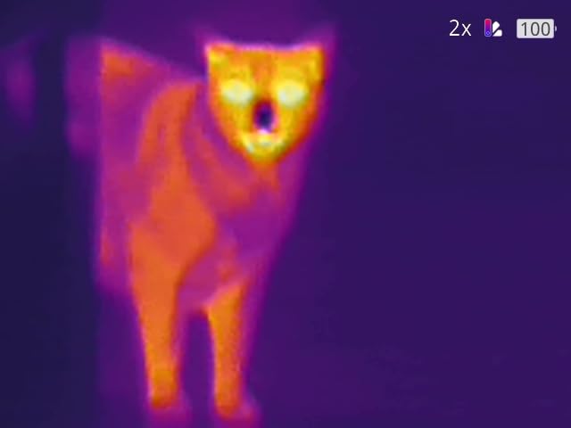 TOPDON TS004 Thermal Imaging Monocular, 13mm 50Hz Night Vision customer photo 1