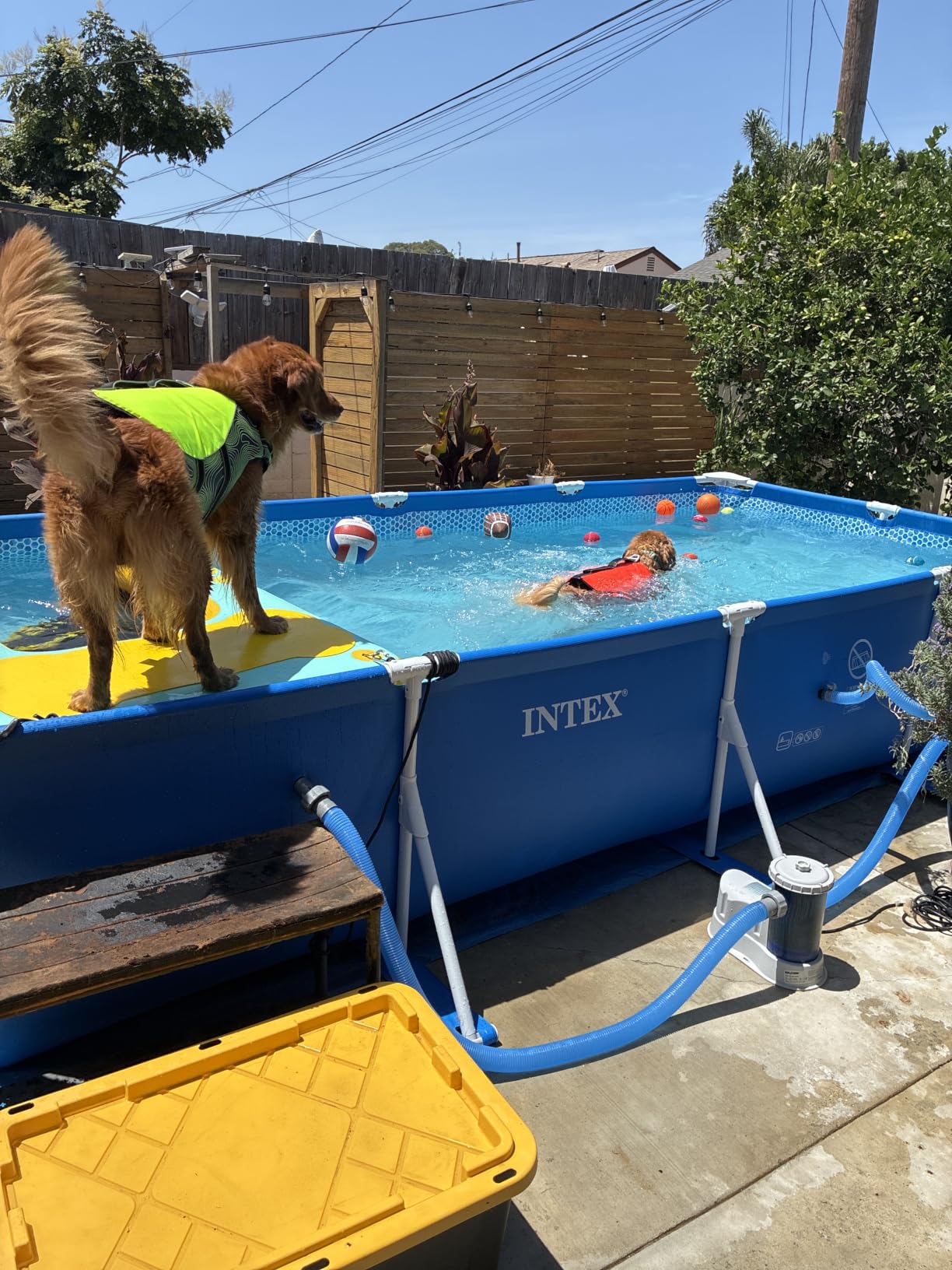 INTEX Metal Frame 14ft 9in x 7ft 3in x 33in Above Ground Swimming Pool | 28273EH - Pool Only (Pump Not Included) customer photo 2