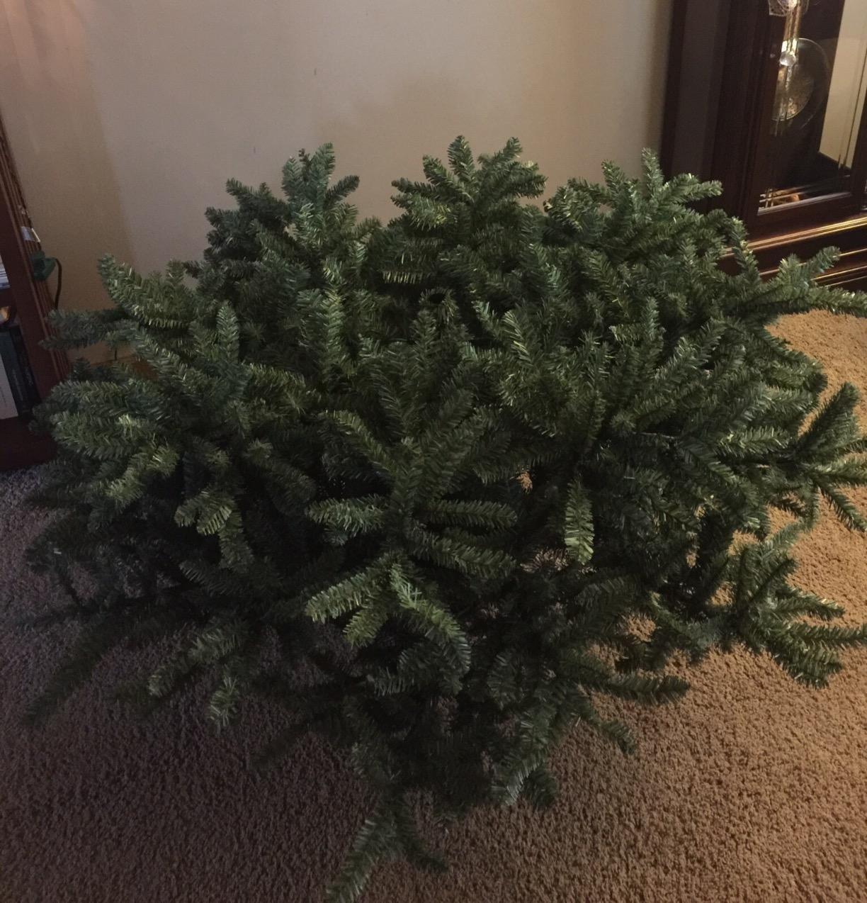 Balsam Hill 7.5 ft Unlit Classic Blue Spruce Artificial Christmas Tree, 2,960+ Tips, Premium Stand, Easy Assembly customer photo 1