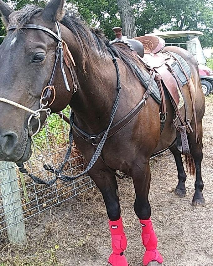 Tough1 Combo Boots customer photo 2