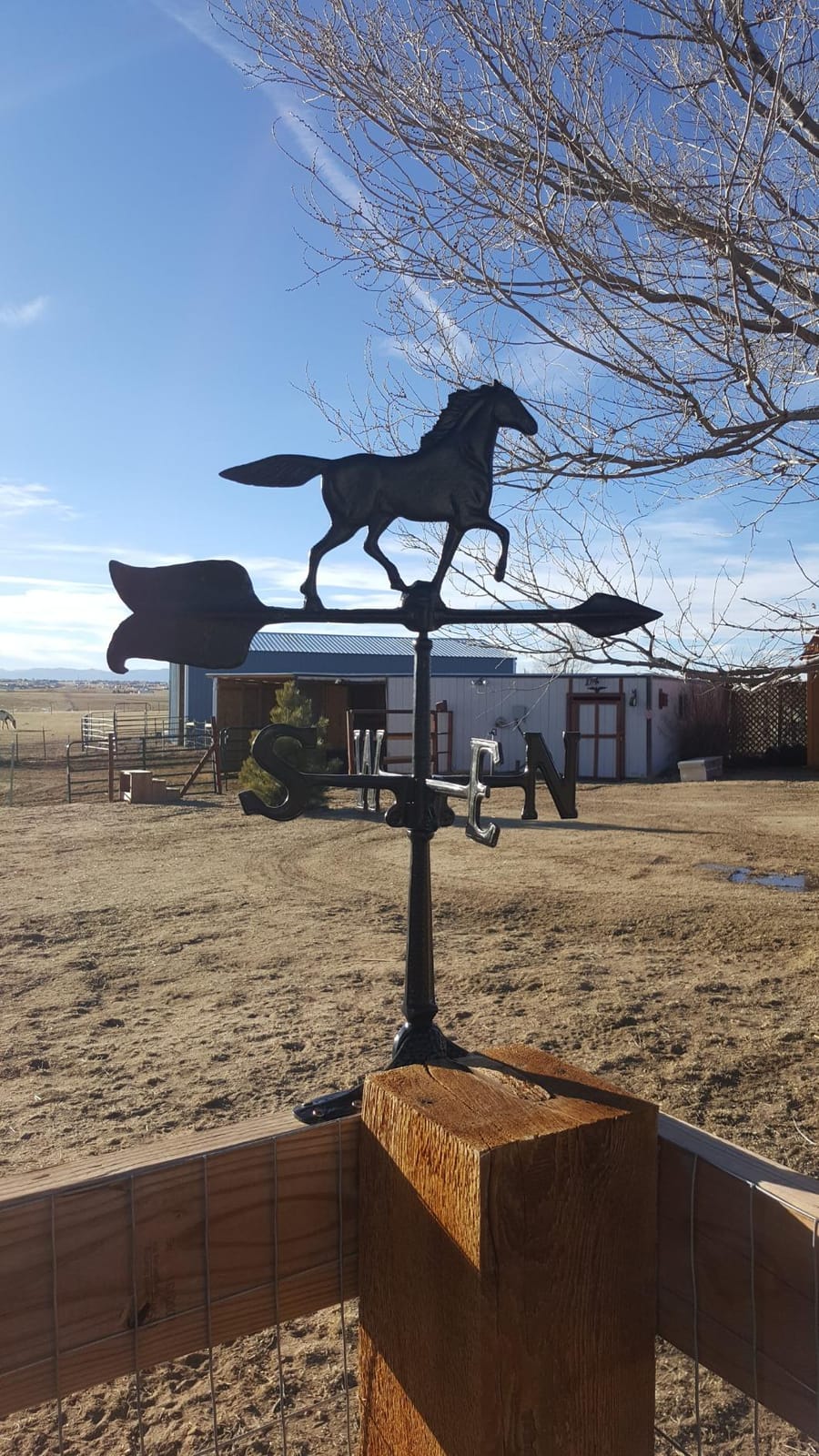 Whitehall Products Horse Accent Weathervane, 24-Inch, Black customer photo 2