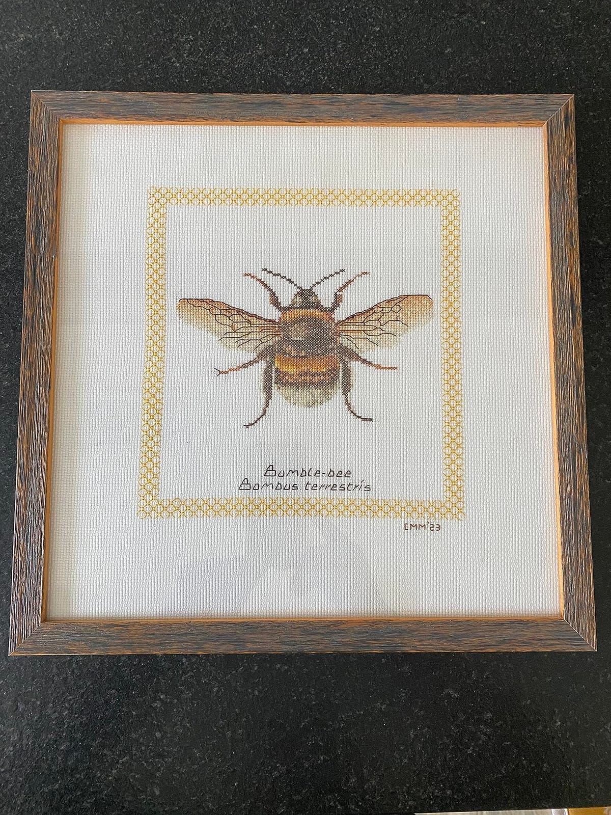Thea Gouverneur Honey Bee Cross Stitch Kit - 16 Count Aida Black - Complete Embroidery Kit for Adults - Includes DMC Threads, Needle, and Instructions customer photo 1