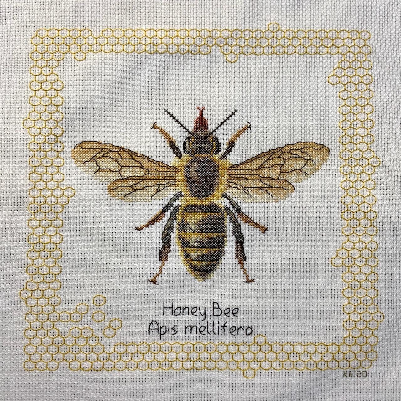 Thea Gouverneur Honey Bee Cross Stitch Kit - 16 Count Aida Black - Complete Embroidery Kit for Adults - Includes DMC Threads, Needle, and Instructions customer photo 2