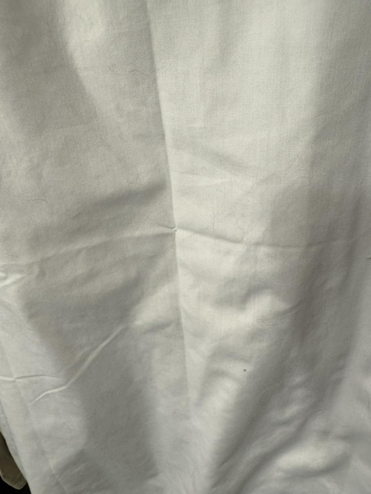 Van Heusen Men's Dress Shirt Regular Fit Poplin Solid customer photo 2