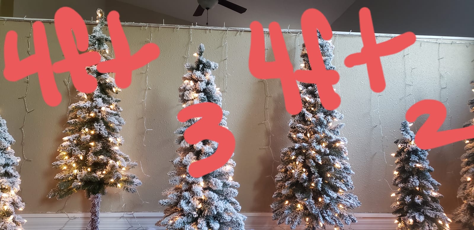 National Tree Company 3ft Pre-Lit Flocked Downswept Christmas Forestree | 50 Clear Lights, 198 Tips, Mini Artificial Christmas Tree, Metal Plate Base, Green customer photo 2