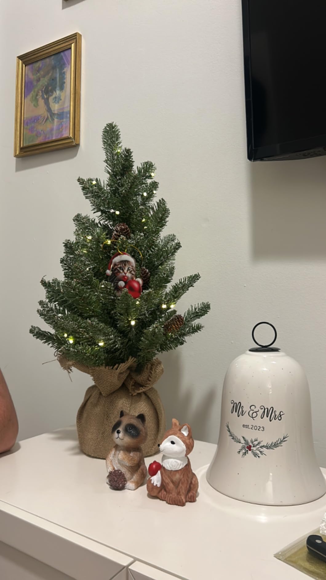 National Tree Company 2ft Pre-Lit Flocked Mini Artificial Christmas Tree | 50 Warm White LED Lights, 75 Tips, Pinecones, Burlap Base, Timer, Green customer photo 1