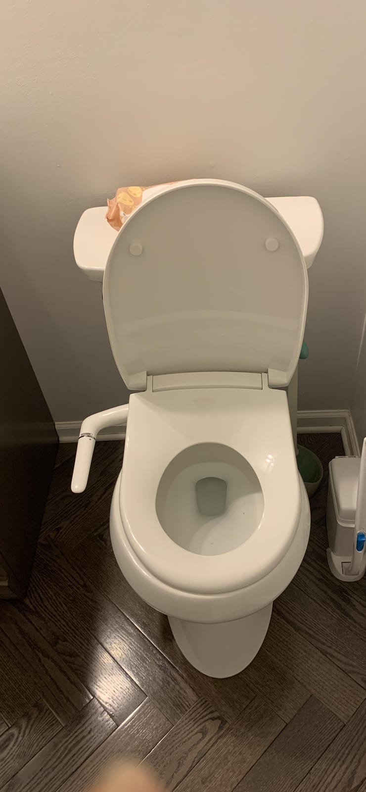 Kohler PureWash M250 Manual Elongated Bidet Toilet Seat, White, Quiet-Close Lid Prevents Slamming, Cool Water, Easy Installation with Quick-Release Hinges, Adjustable Spray Position & Pressure customer photo 1
