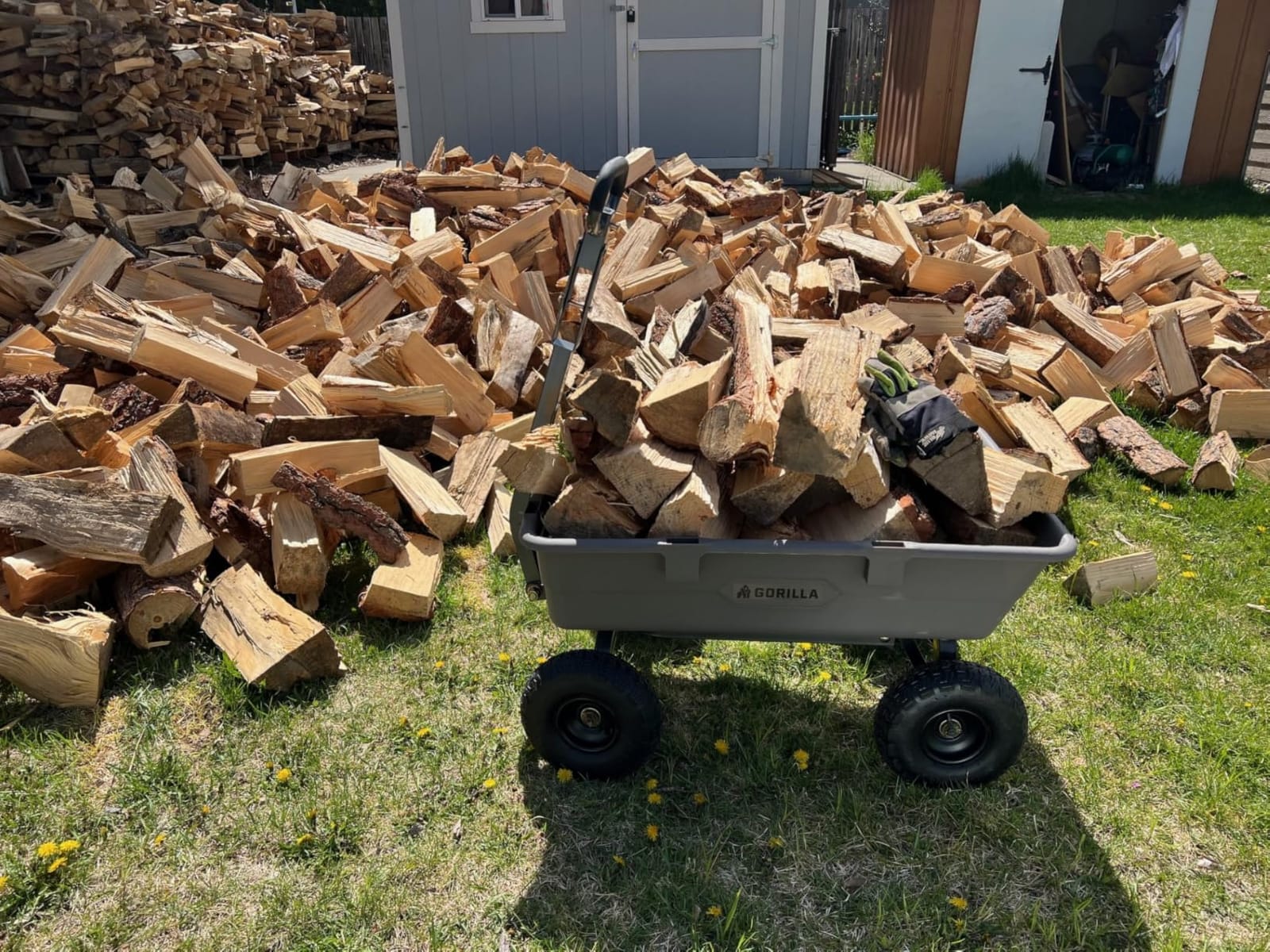 Gorilla Carts Poly Dump Cart, 600 lb. Capacity, 4 Cu ft, Quick Release Dump customer photo 2