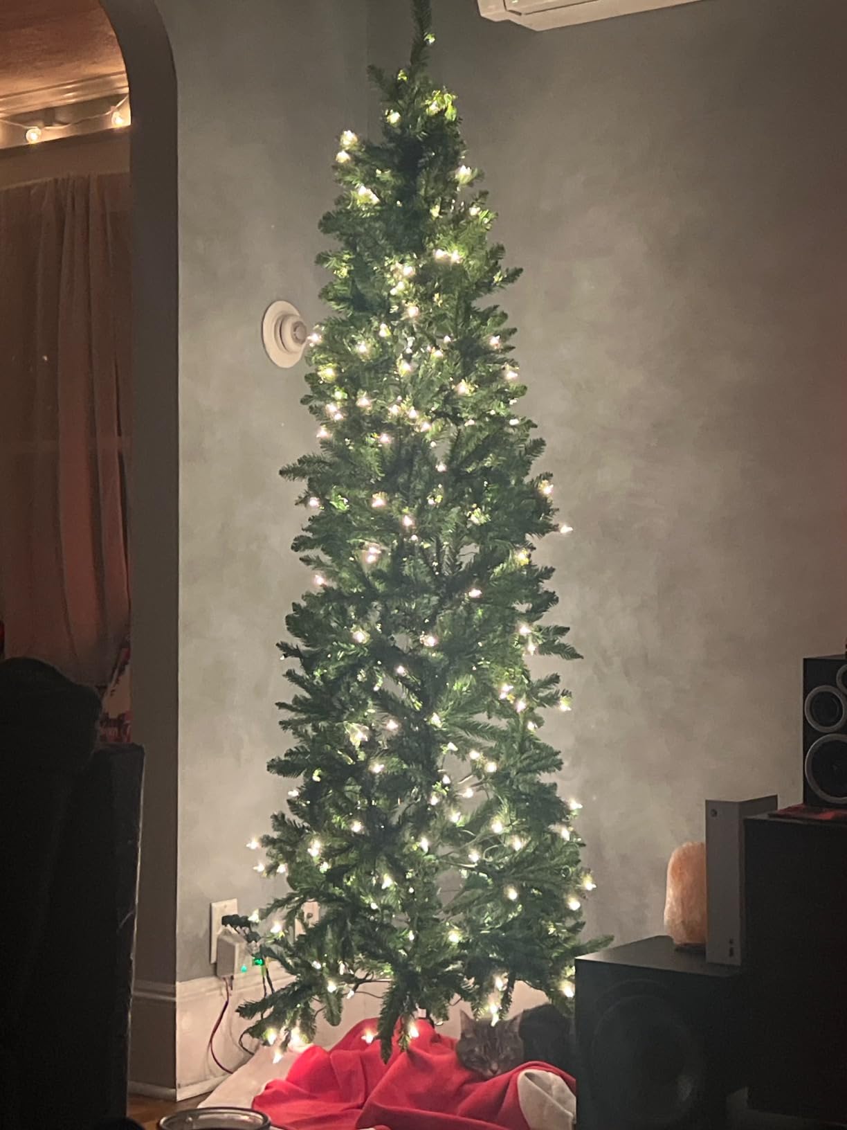 National Tree Company 7ft Pre-Lit Kingswood Fir Slim Christmas Tree | 300 Clear Lights, 892 Tips, Includes Stand, Artificial, Green customer photo 2