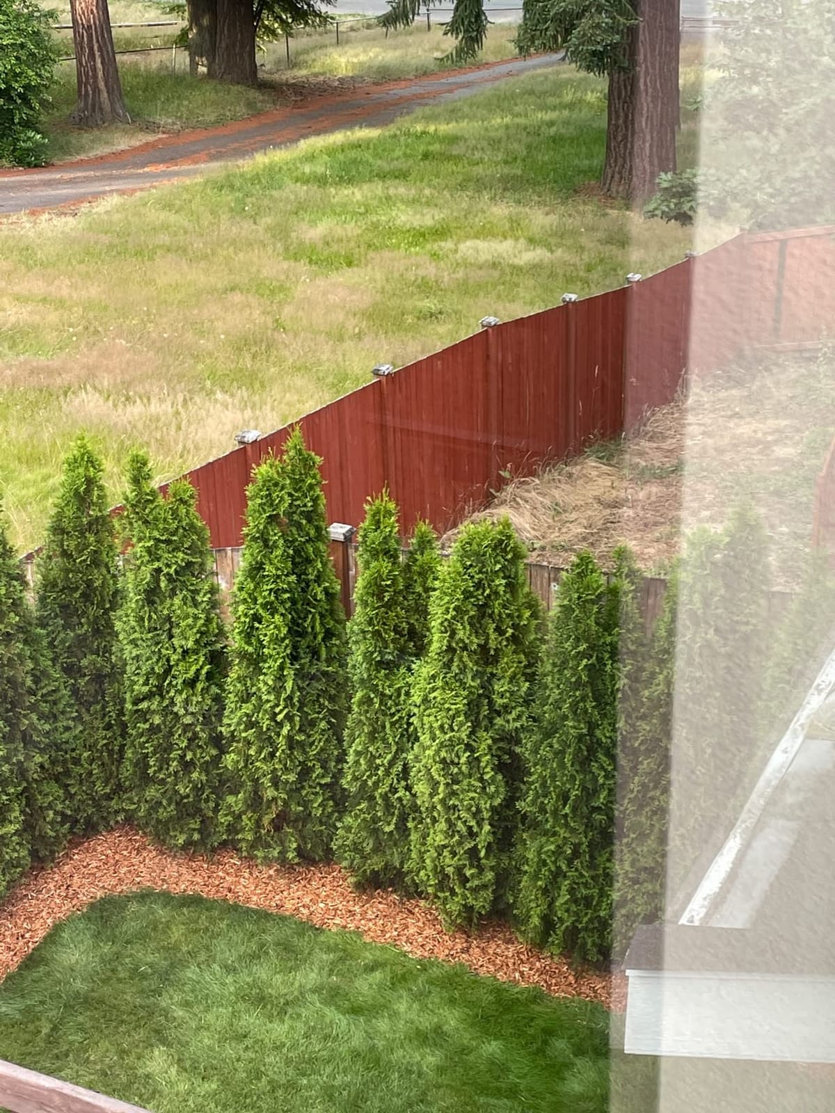 EasyFlex Heavy Duty No-Dig Edging Kit - 100ft., Black customer photo 1