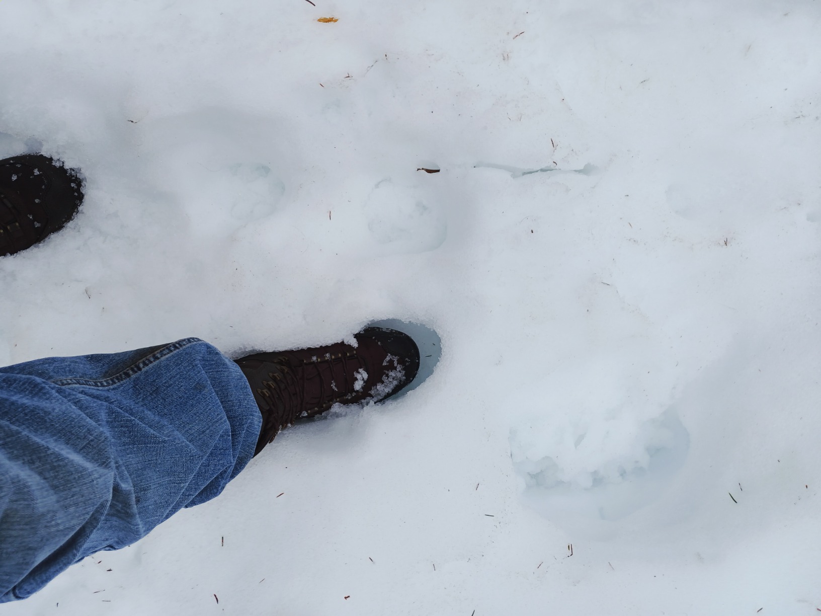 Danner Men's Vital 8