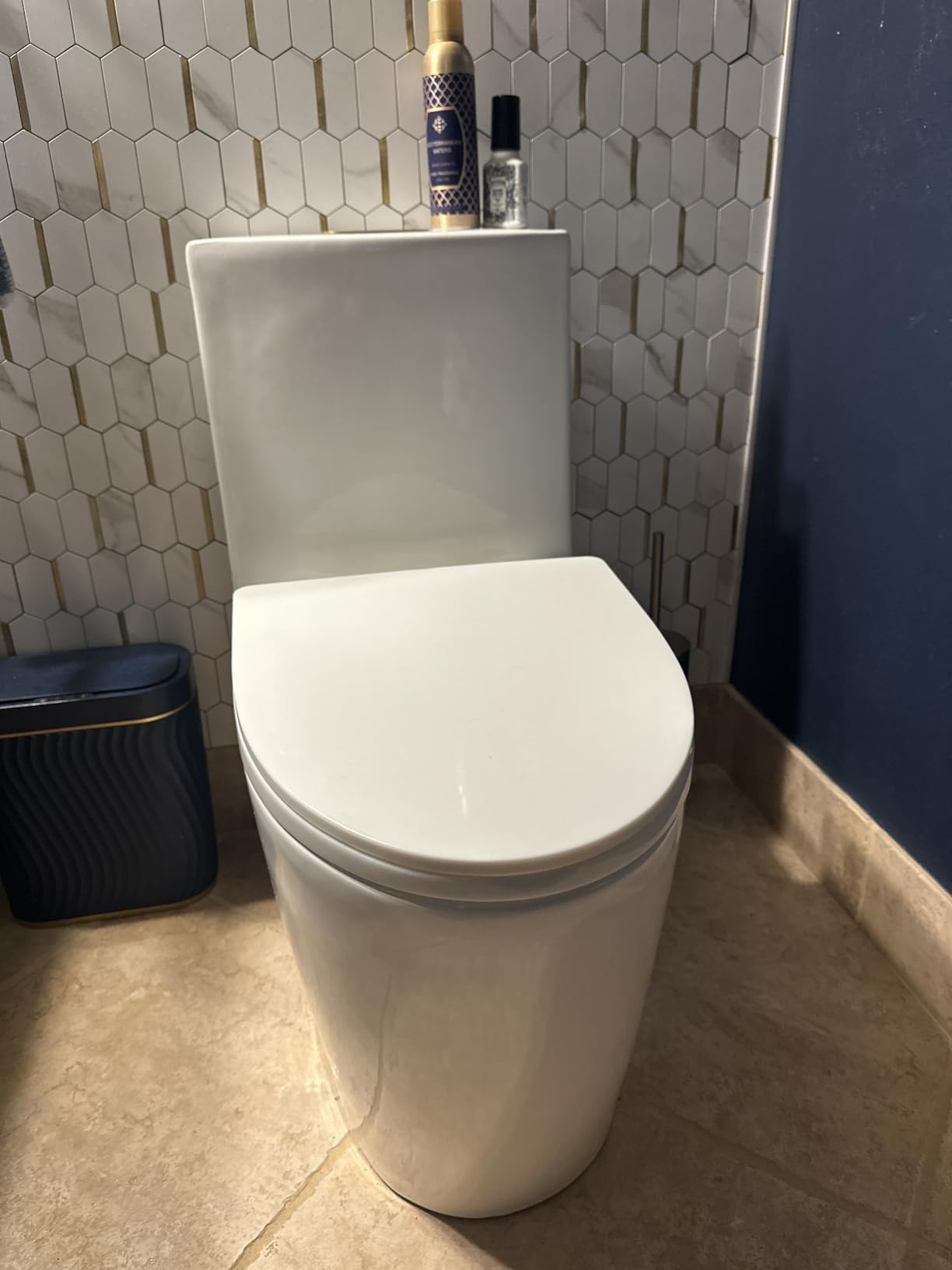 St. Tropez Comfort Height One-Piece Elongated Toilet, Vortex Dual-Flush 1.1/1.6 GPF, White Hardware customer photo 1