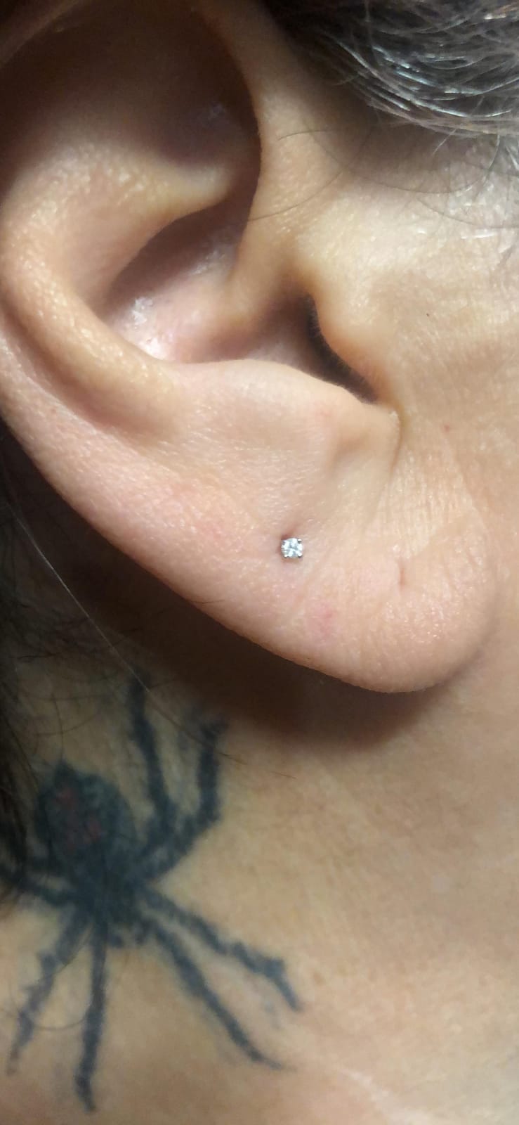 Round Lab Grown or Natural Diamond Stud (IGI Certified 0.70 ct & up) Popular Plus Quality Screw Back Earrings in 14k Solid Gold, 0.04 Ctw & Up customer photo 2