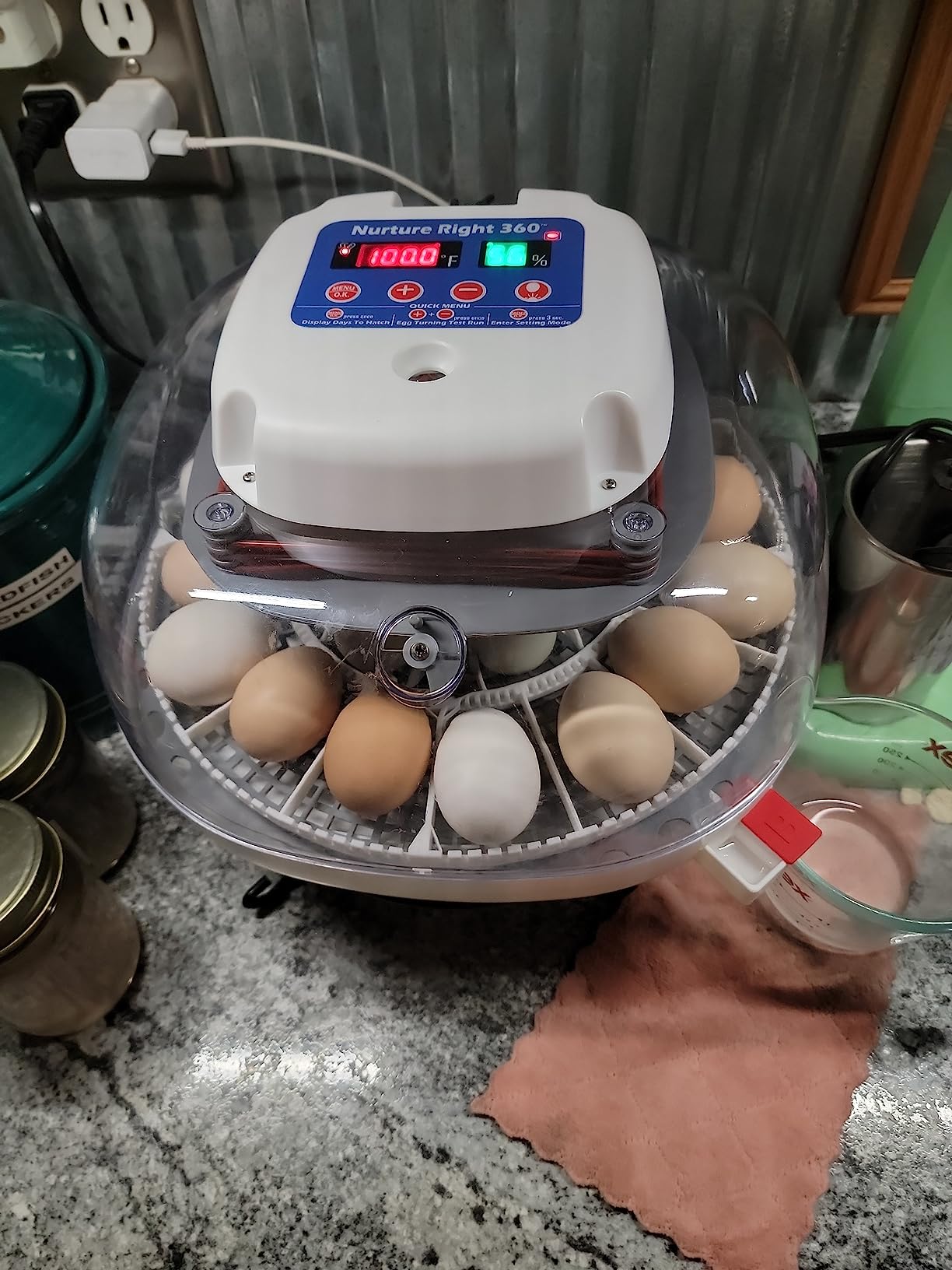Harris Farms Nurture Right Egg Incubator with Auto Turner, Holds 22 Eggs | Automatic Egg Turner, Temperature & Humidity Control, 360° Viewing Window, Ideal for Hatching Chicks customer photo 1