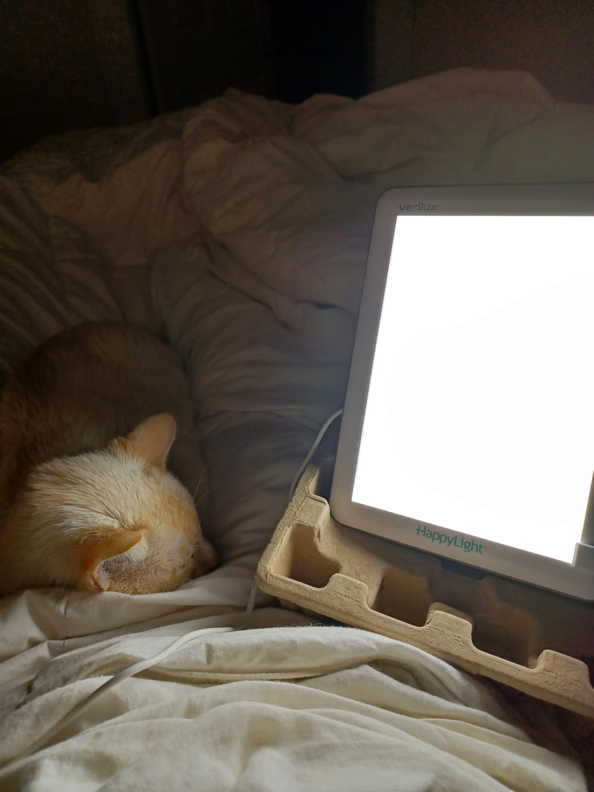 Verilux HappyLight Lucent - One-Touch Light Therapy Lamp with 10,000 Lux, UV-Free, LED Bright White Light & Detachable Stand for Boosting Mood & Improving Sleep customer photo 2
