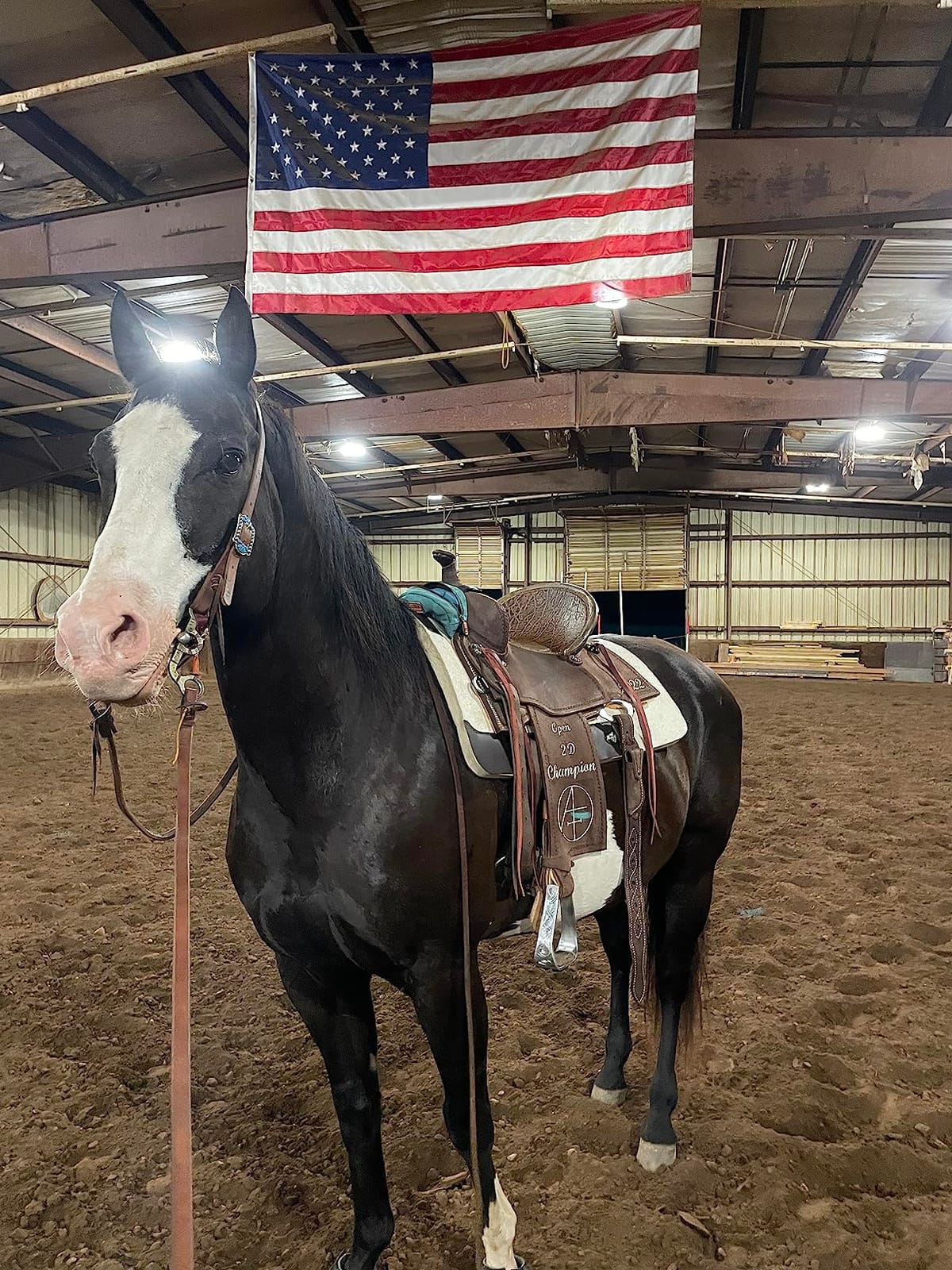 Professional's Choice 100% Steam-Pressed Wool Felt Saddle Pad | Western Moisture & Sweat Wicking Saddle Pad with Soft Felt Bottom customer photo 1