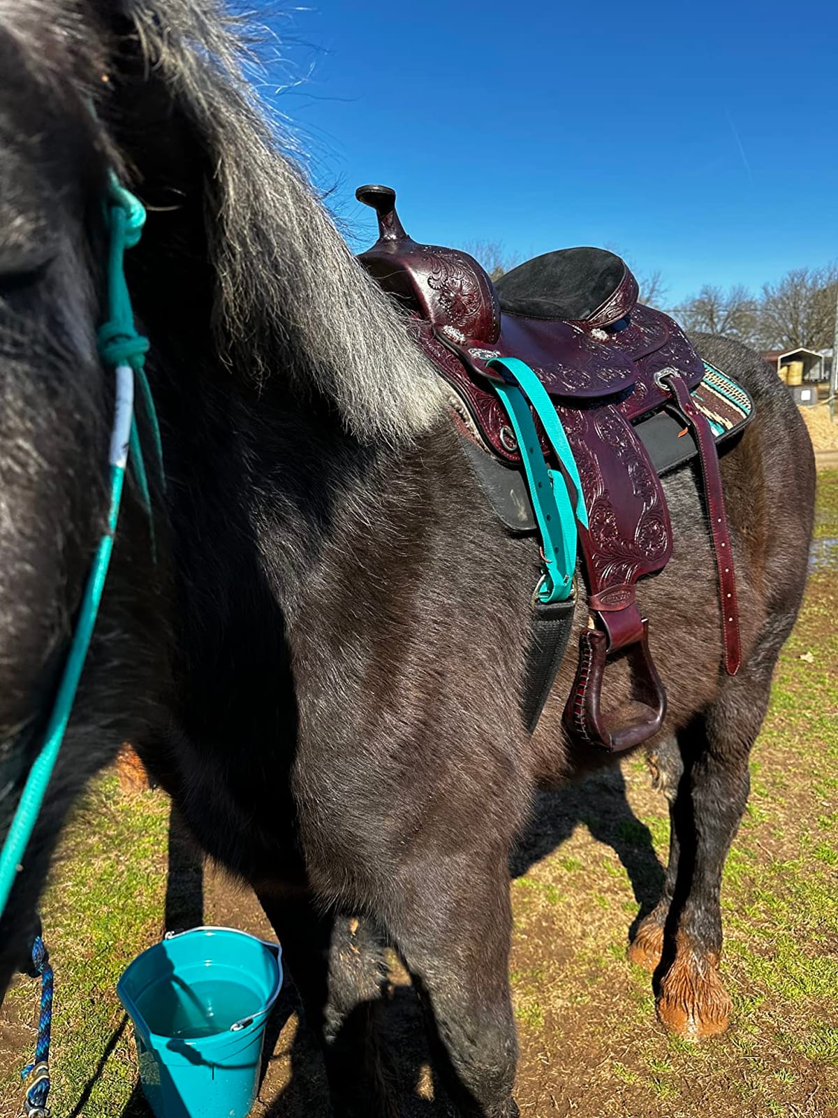 HILASON Western Draft Horse Trail Pleasure American Leather Saddle | for Horses customer photo 2