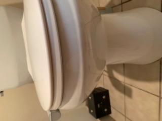 Brondell Bidet Attachment for Toilet SS-250 SimpleSpa Fresh Water Spray with Adjustable Water Pressure Side Arm Control, Slim Bidet Sprayer, Silver Knob (Dual Nozzle) customer photo 1