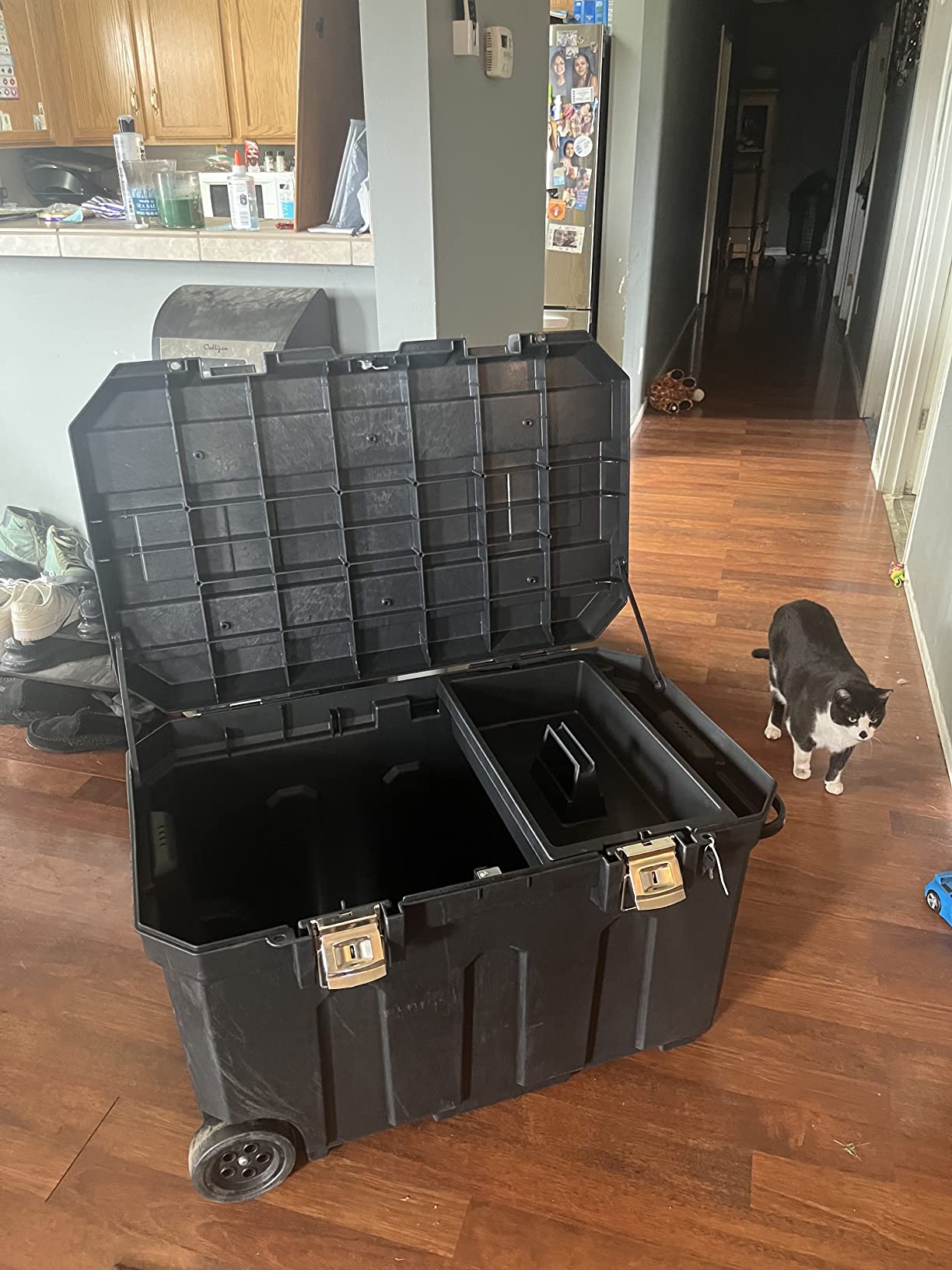 037025H 50 Gallon Mobile Chest customer photo 2