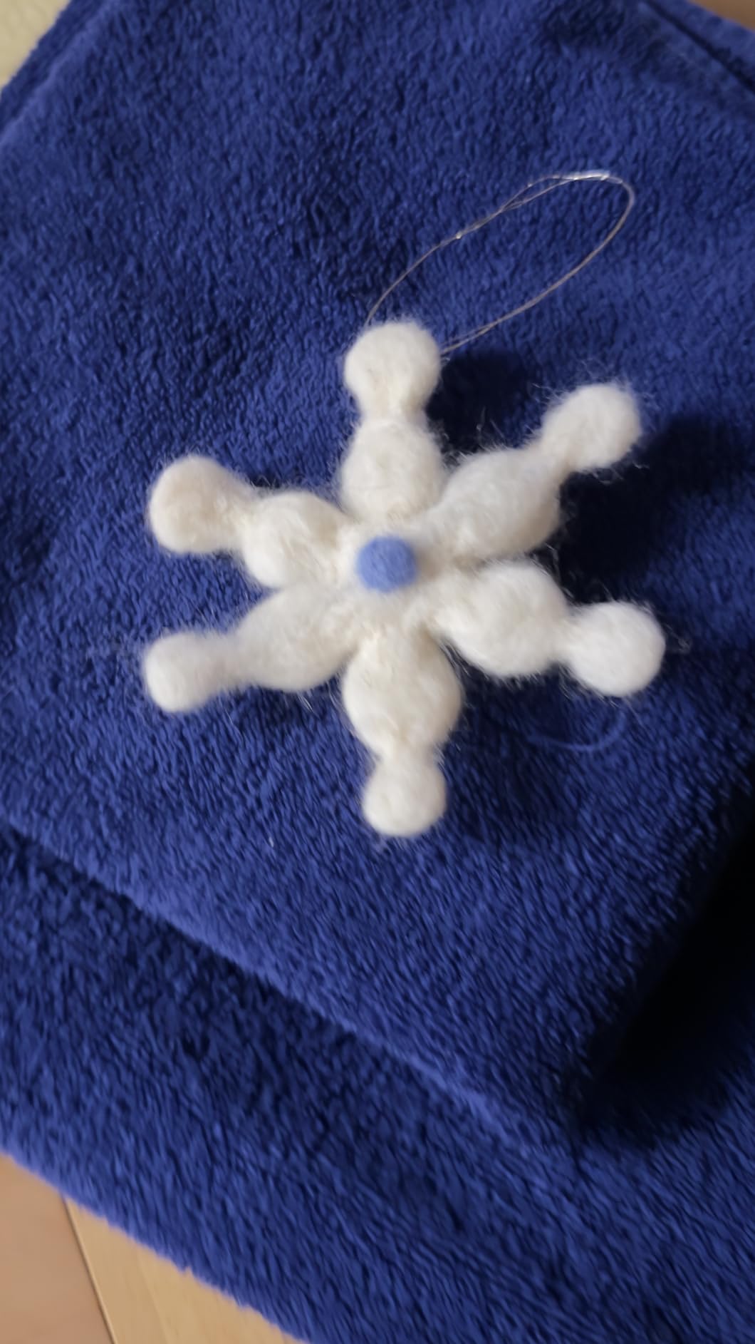 Needle Felting Kit, Basic Tools with 15 Groz-Beckert Needles, Pad & Case (Tool Set Without Wool) customer photo 2