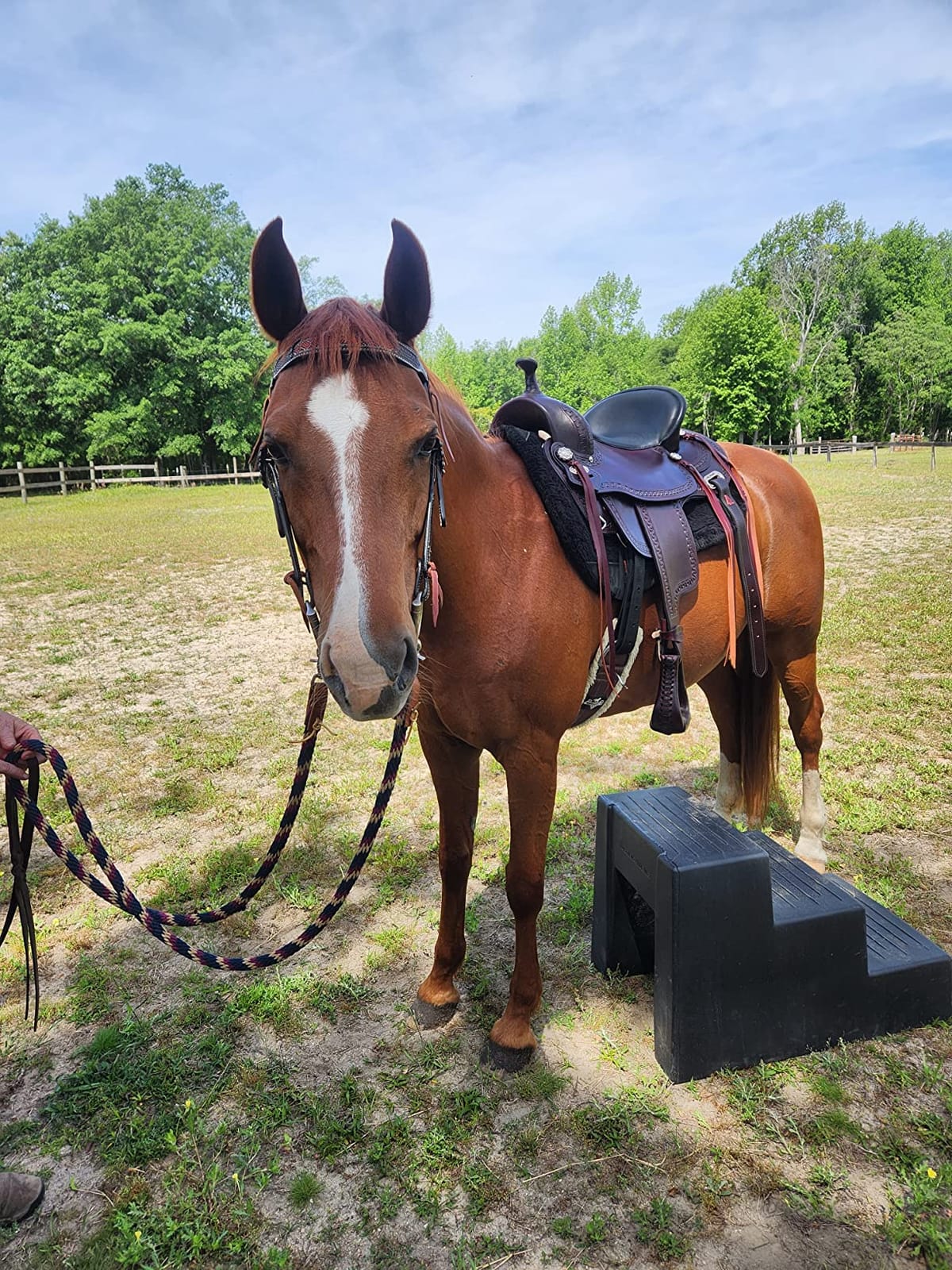 HILASON Western Horse Saddle American Leather Flex Tree Trail & Pleasure Chocolate Brown customer photo 2