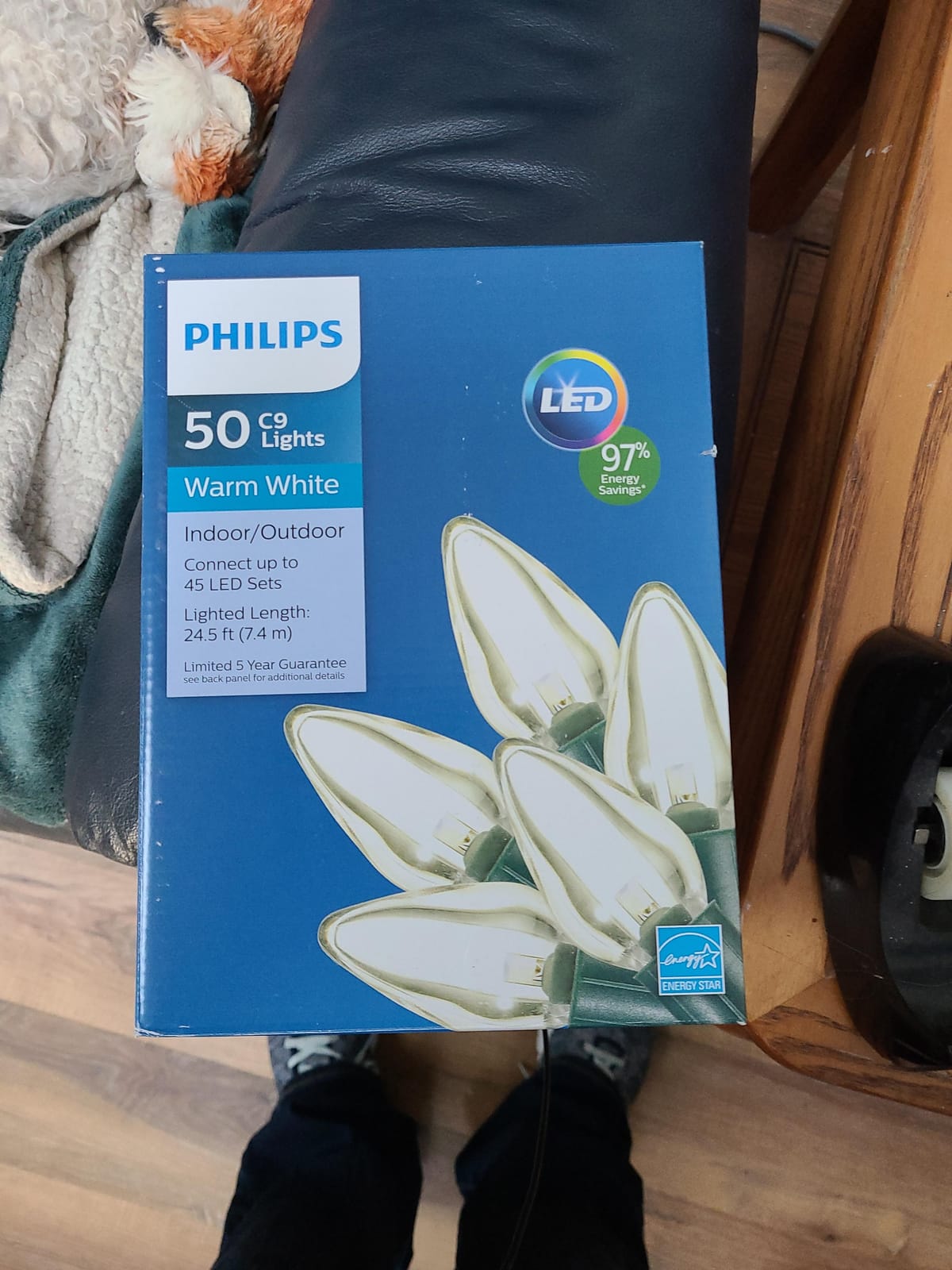 Philips 50 LED Warm White Smooth C9 Lights | Green Wire, 6