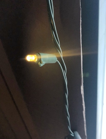 Philips 50 LED Warm White Smooth C9 Lights | Green Wire, 6