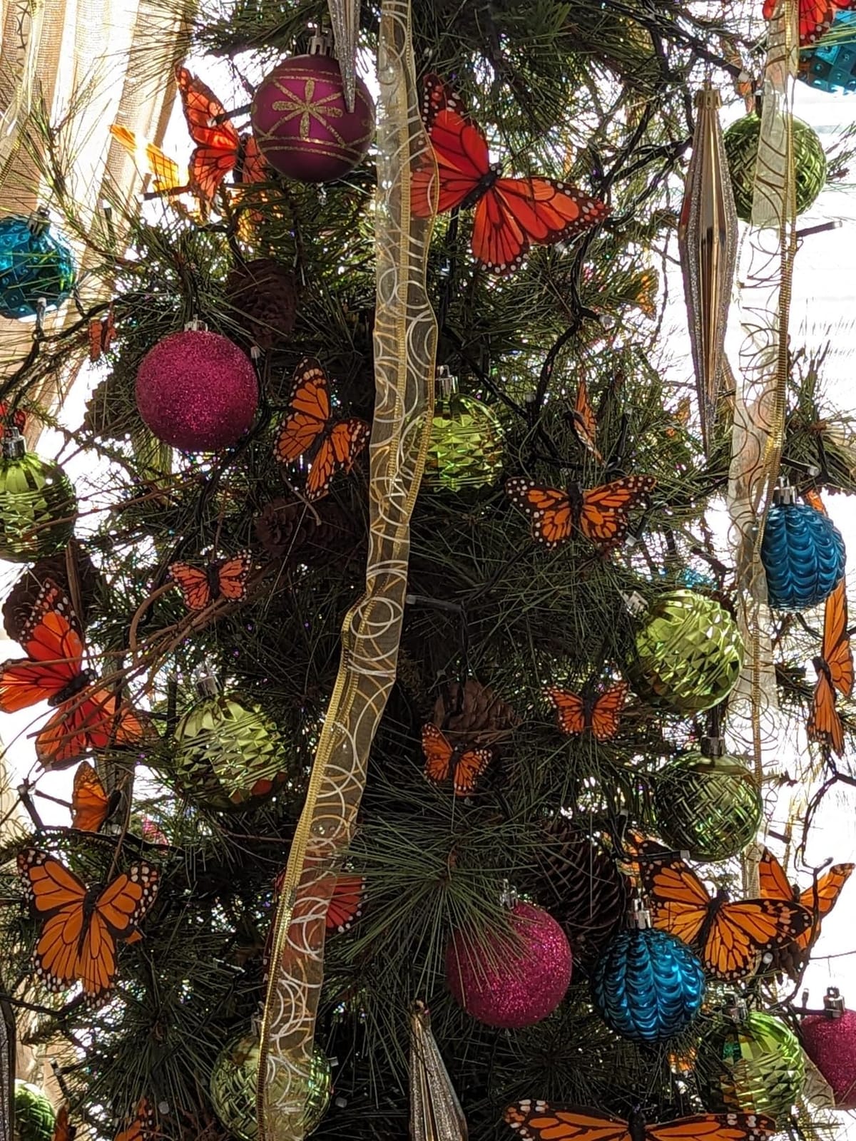 Twinkly Strings 600 LED RGB, LED Light String, Smart Multicolor LED Lights, Christmas Lights, Mappable LEDs, IP44, Green Wire, Packaging May Vary, 157.5ft customer photo 2