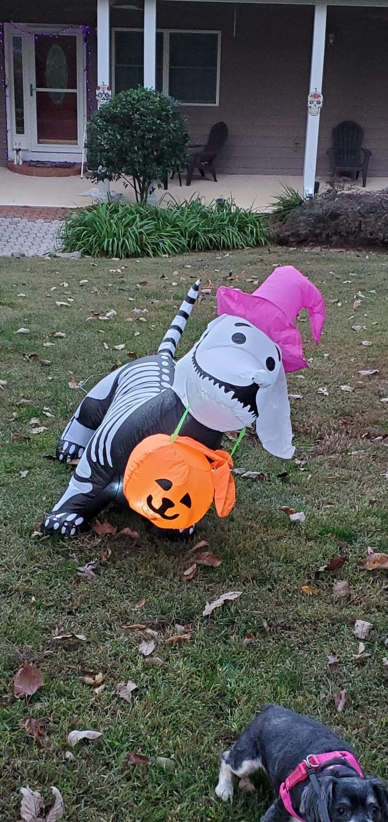 GOOSH 5.5 FT Halloween Inflatables Outdoor Decorations Skeleton Puppy Inflatable Yard Decoration with Build-in LEDs Blow Up Pumpkin for Halloween Party Indoor Outdoor Yard Garden customer photo 2