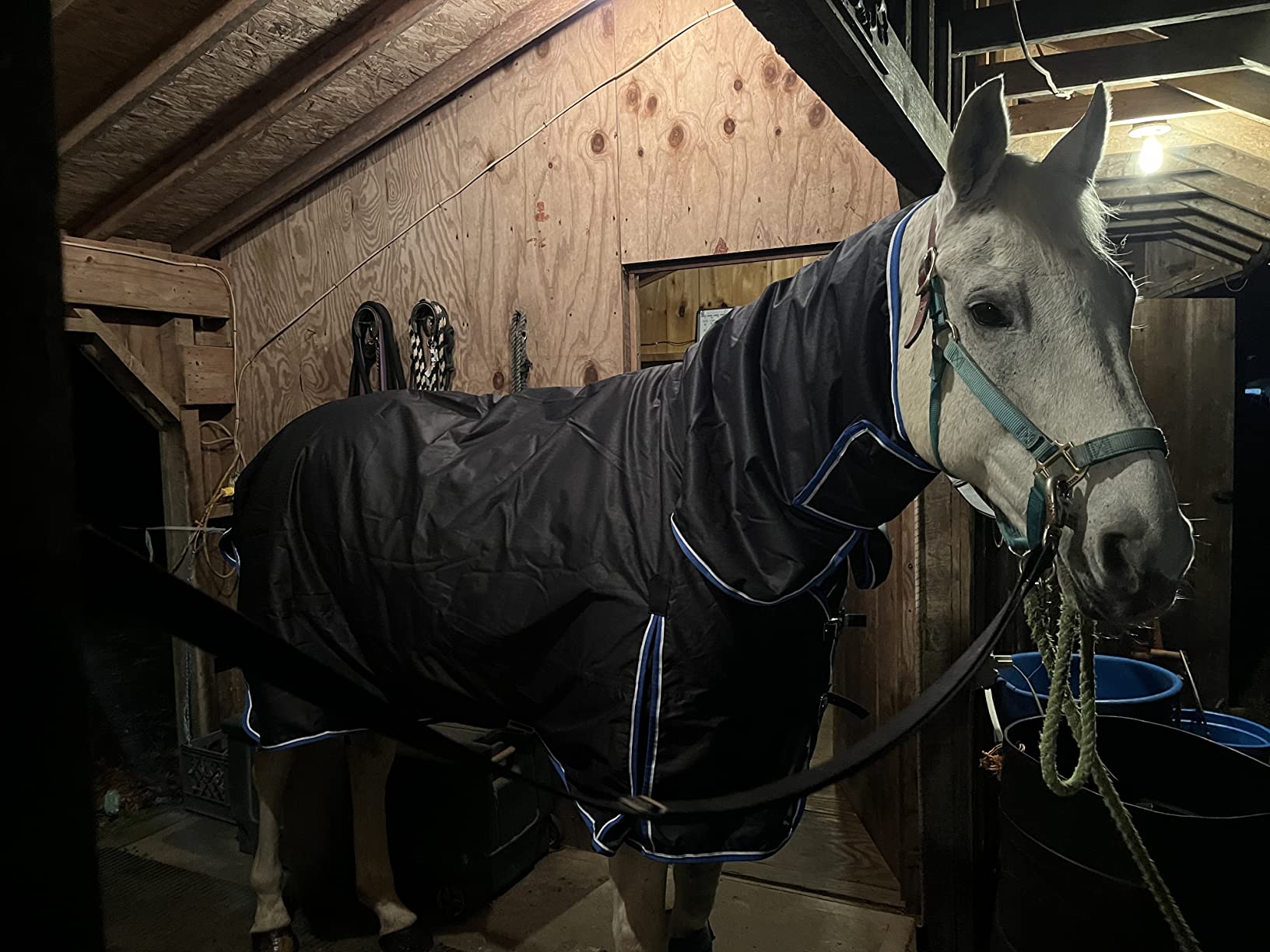 HORZE Glasgow Waterproof Combo Turnout Horse Blankets for Real Horses | Medium Weight Design Turnout Blankets for Horses with Neck Cover, 150g Fill, Durable Winter Protection to Keep Warm, 3 Sizes customer photo 1