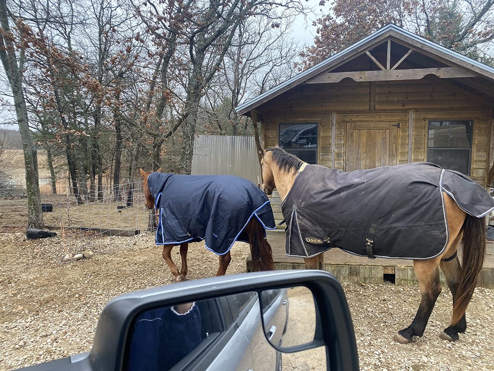 HORZE Glasgow Waterproof Combo Turnout Horse Blankets for Real Horses | Medium Weight Design Turnout Blankets for Horses with Neck Cover, 150g Fill, Durable Winter Protection to Keep Warm, 3 Sizes customer photo 2