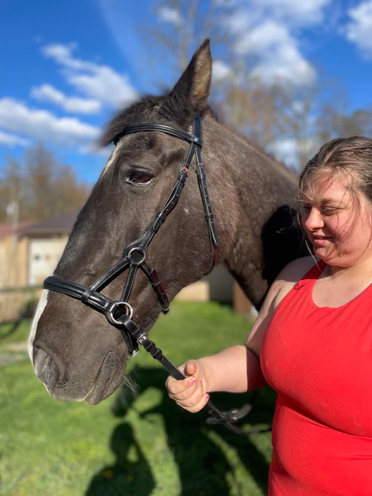 HORZE Denver Soft Leather English Side Pull Bitless Bridle for Horses | Web Reins Included customer photo 1