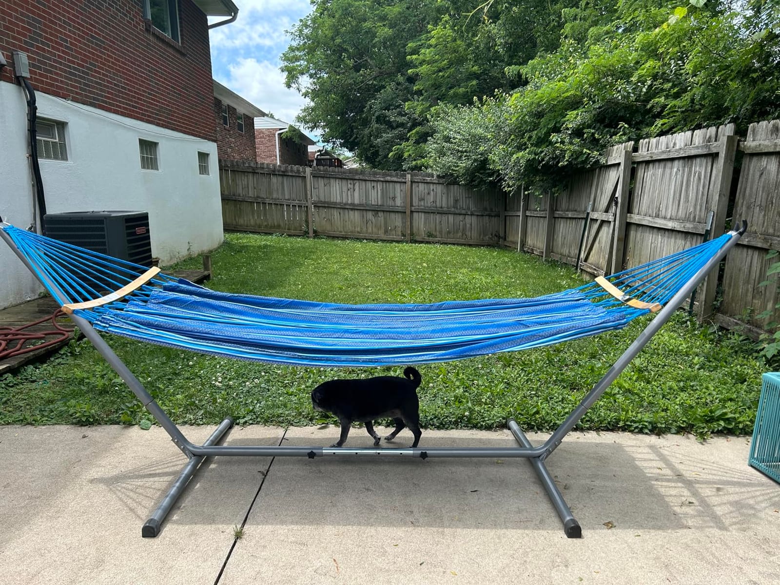 SUNCREAT Hammocks Double Hammock with Curved Spreader Bar, Blue | Outdoor Portable Hammock with Carrying Bag & Tree Straps for Bedroom, Patio, Backyard, Balcony, Max 450lbs Capacity customer photo 1