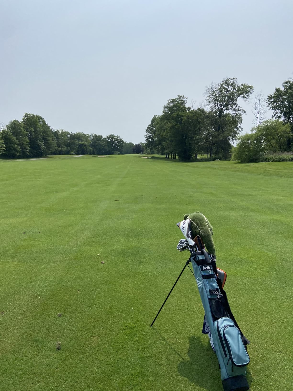 The Original Sunday Golf Loma Bag, 31 Inches | Lightweight Golf Bag, With Strap & Stand, Easy to Carry, For Driving Range, Par 3 & Executive Courses customer photo 2