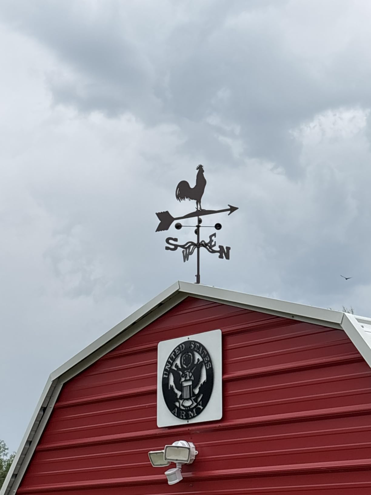 EZ Vane Steel Rooster Weathervane 21
