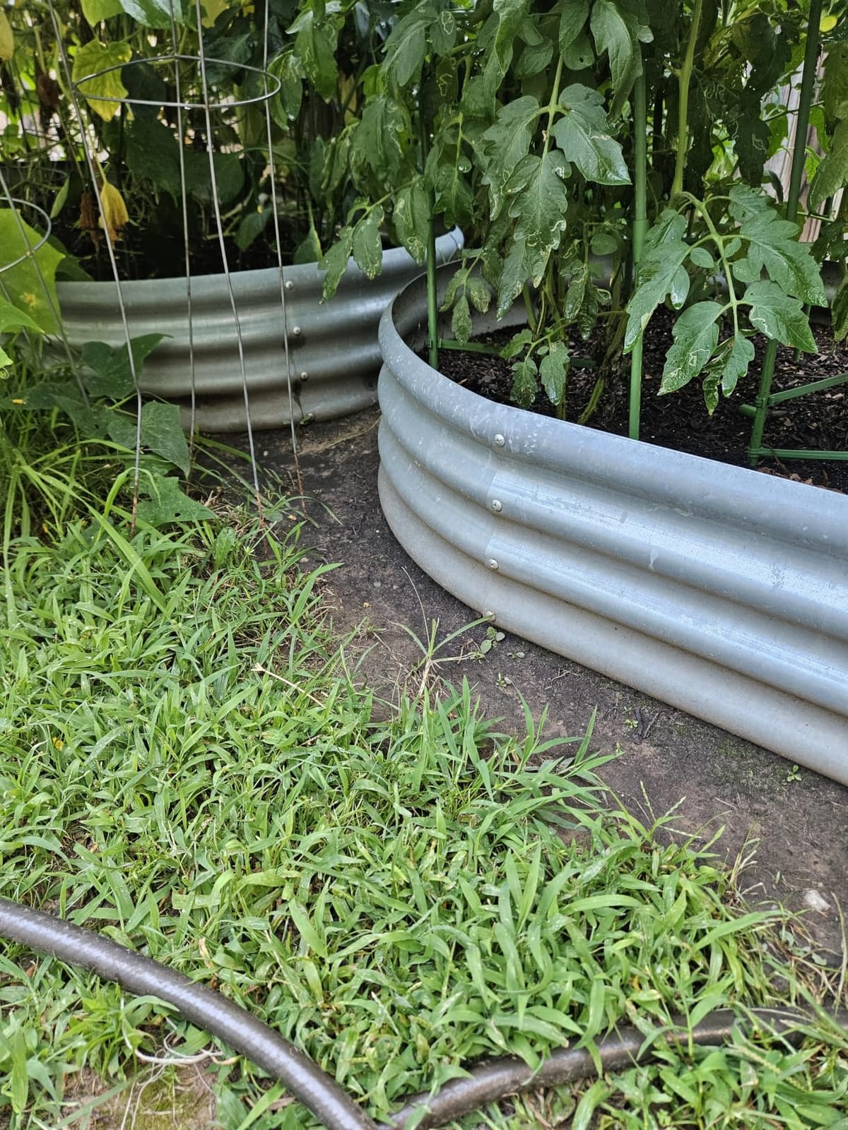 Land Guard Galvanized Raised Garden Bed Kit, Galvanized Planter Garden Boxes Outdoor, Oval Large Metal Raised Garden Beds for Vegetables………… customer photo 1