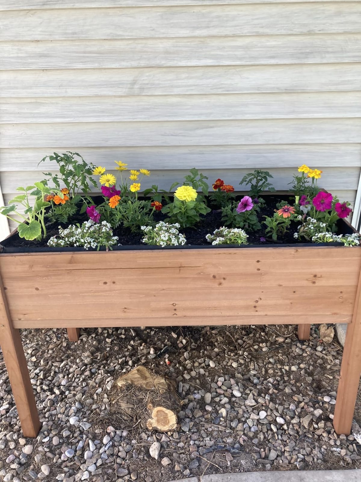 Raised Garden Bed with Legs, 48×24×30 Cedar Wood Elevated Planter Box customer photo 2