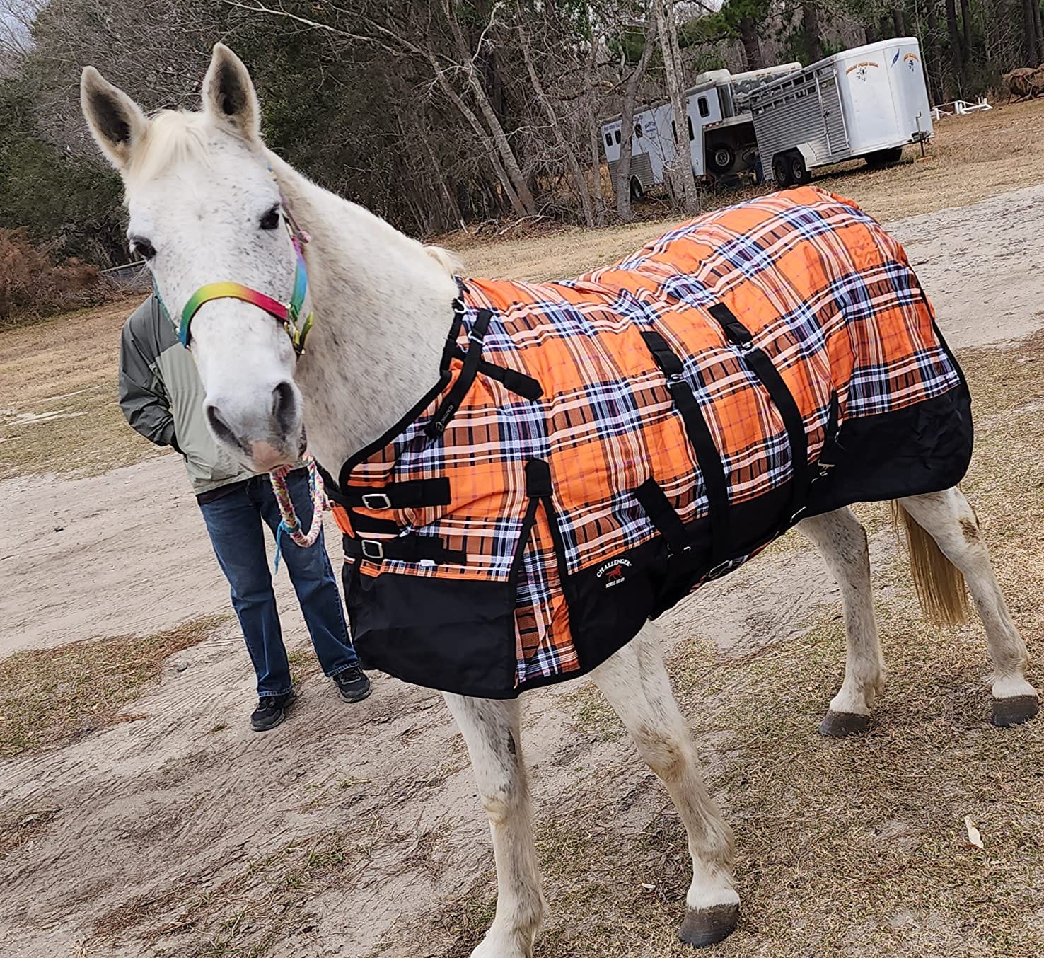 Challenger 1200D Horse Turnout Waterproof Heavy Weight Winter Blanket 598B customer photo 1