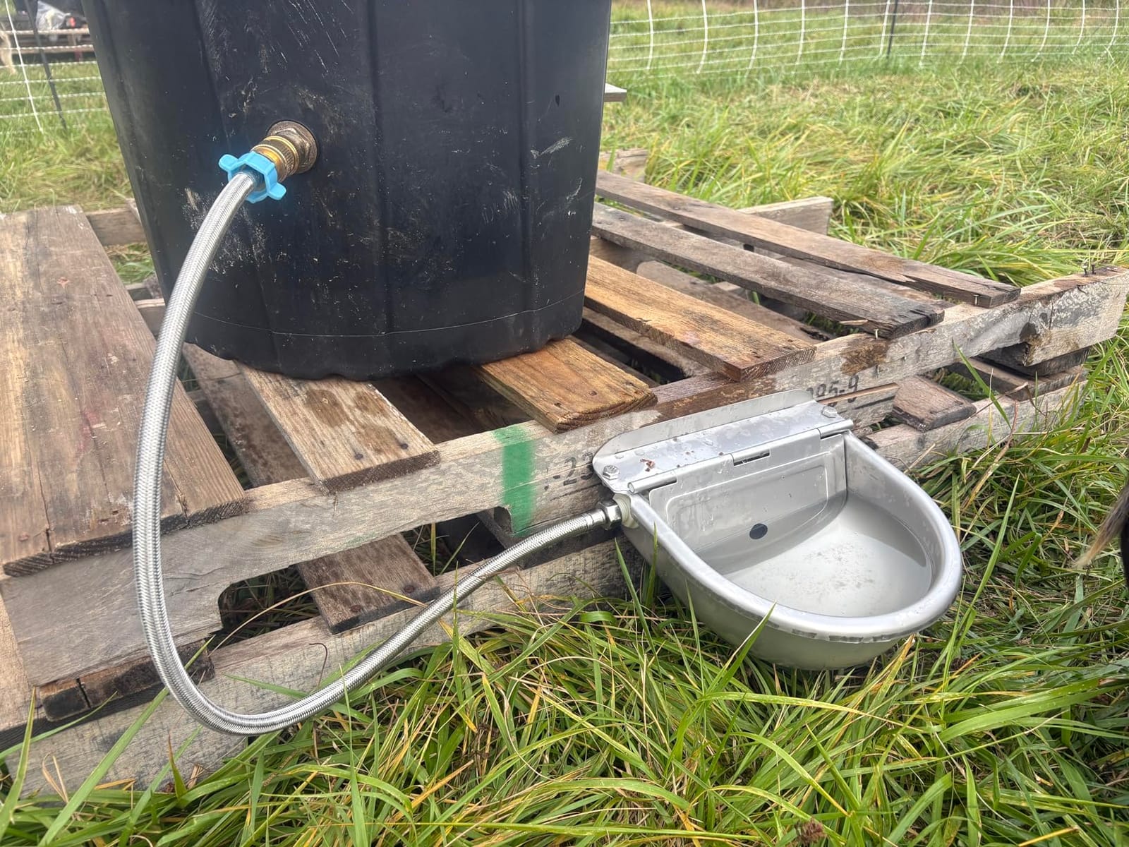 Ademon Automatic Animal Drinking Water Bowl with Float Valve, Standard Pipe, 3L Stainless Steel Waterer Feeder Farm Dog Dispenser Kit Self Filling for Livestock Horse Goat Water Trough customer photo 2