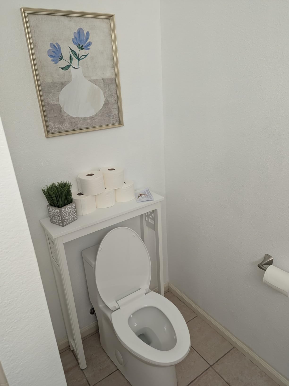 DeerValley Symmetry One Piece Toilet, Dual Flush 1.1/1.6 GPF Elongated Standard Toilet for Bathroom customer photo 1