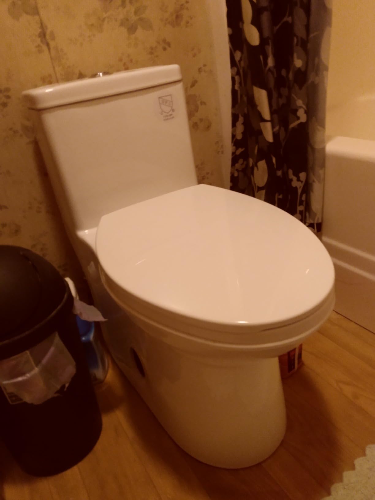 DeerValley Symmetry One Piece Toilet, Dual Flush 1.1/1.6 GPF Elongated Standard Toilet for Bathroom customer photo 2