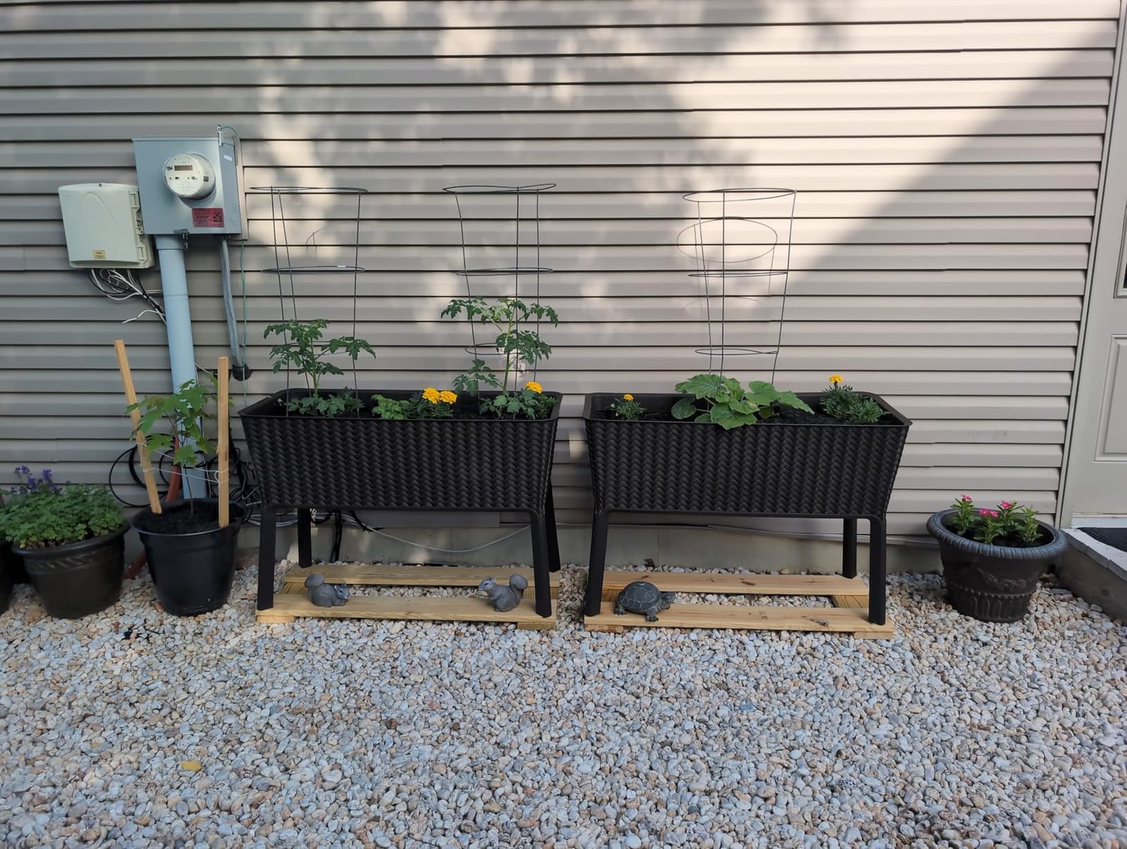 Keter Splendor 31.7 Gallon Raised Garden Bed with Self Watering Planter Box and Drainage Plug-Perfect for Growing Fresh Vegetables, Flowers and Herbs, Brown customer photo 1